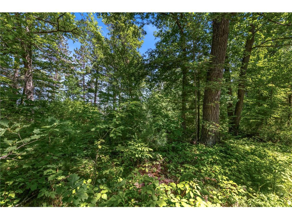 14288W Poplar Lane Bass Lake Twp WI 54843 - Grindstone Lake 6745798 image5