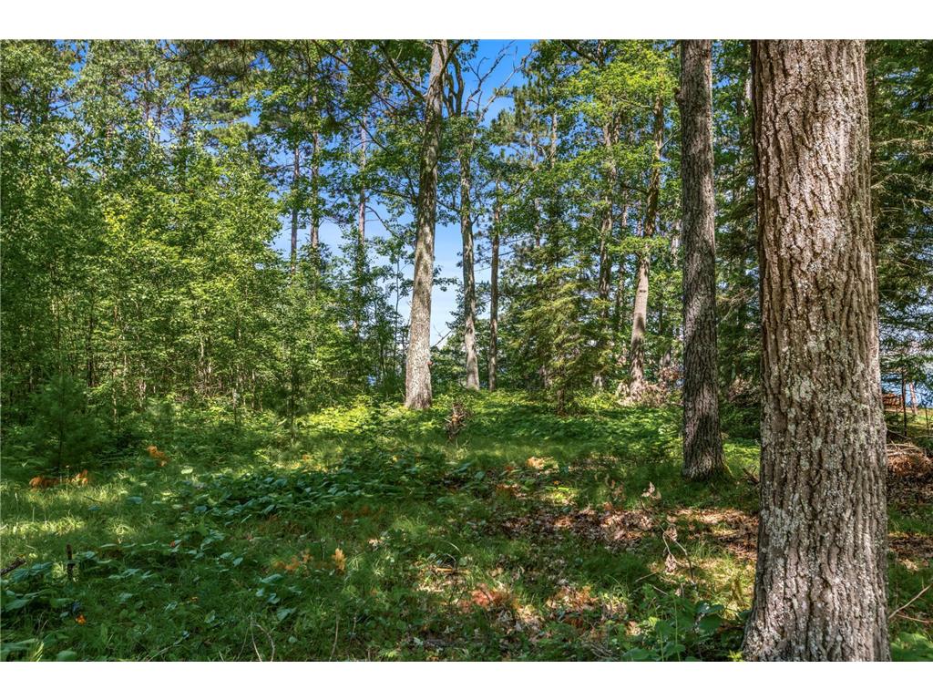 14288W Poplar Lane Bass Lake Twp WI 54843 - Grindstone Lake 6745798 image7