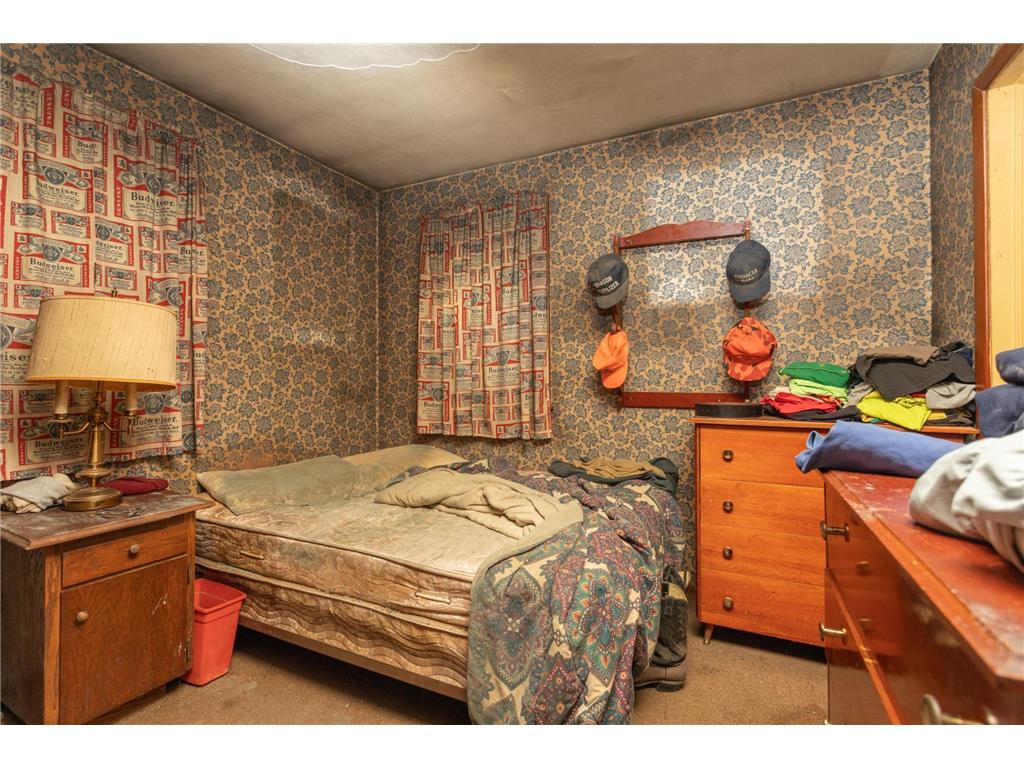 1429 1st Avenue NE Glenwood MN 56334 6807982 image7