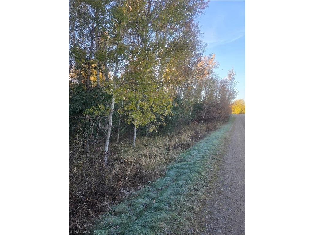 142xx 80th Street NE Foley MN 56329 - St Francis River 6751843 image3