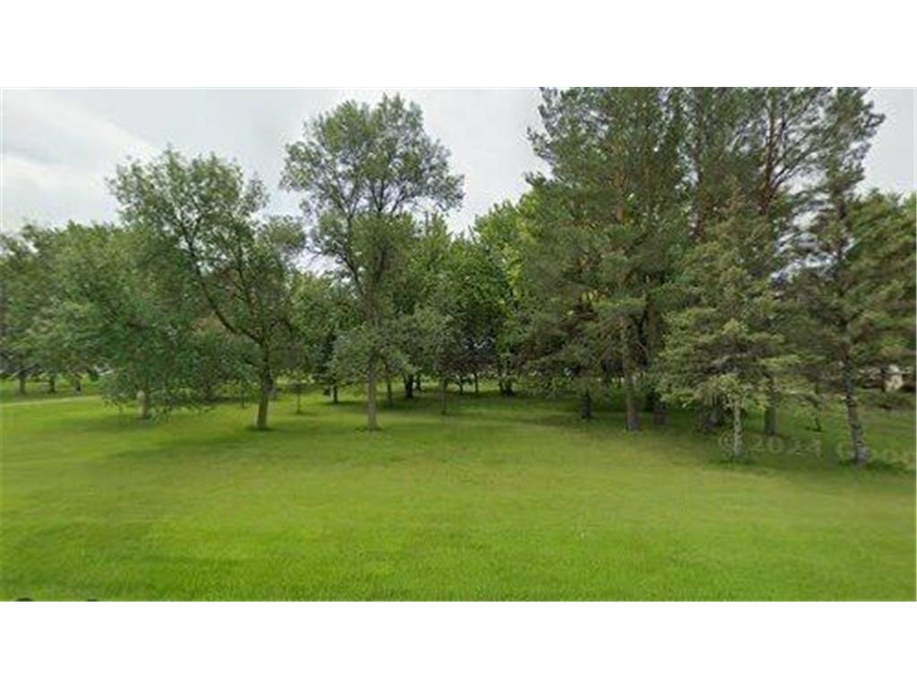 143 20th Street SW Benson MN 56215 6586176 image1