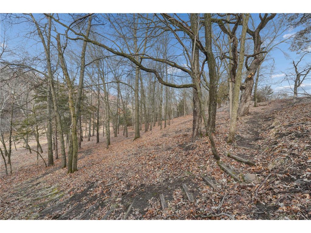 143 Heritage Trail Saint Joseph Twp WI 54082 7048208 image65