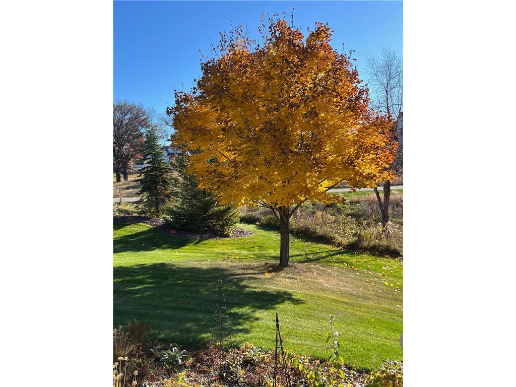 1430 25th Street Saint Joseph Twp WI 54082 7030838 image74