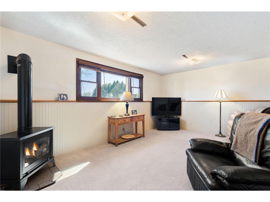14303 345th Avenue Woodville Twp MN 56093 7057526 image22