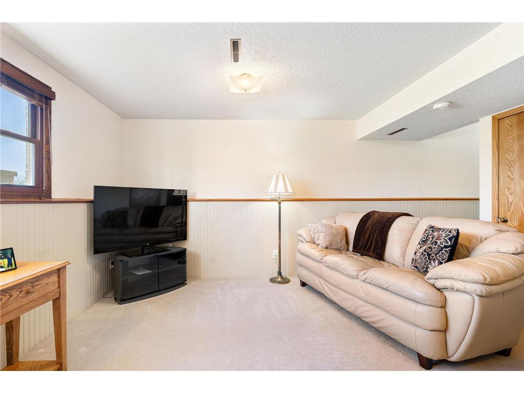 14303 345th Avenue Woodville Twp MN 56093 7057526 image23