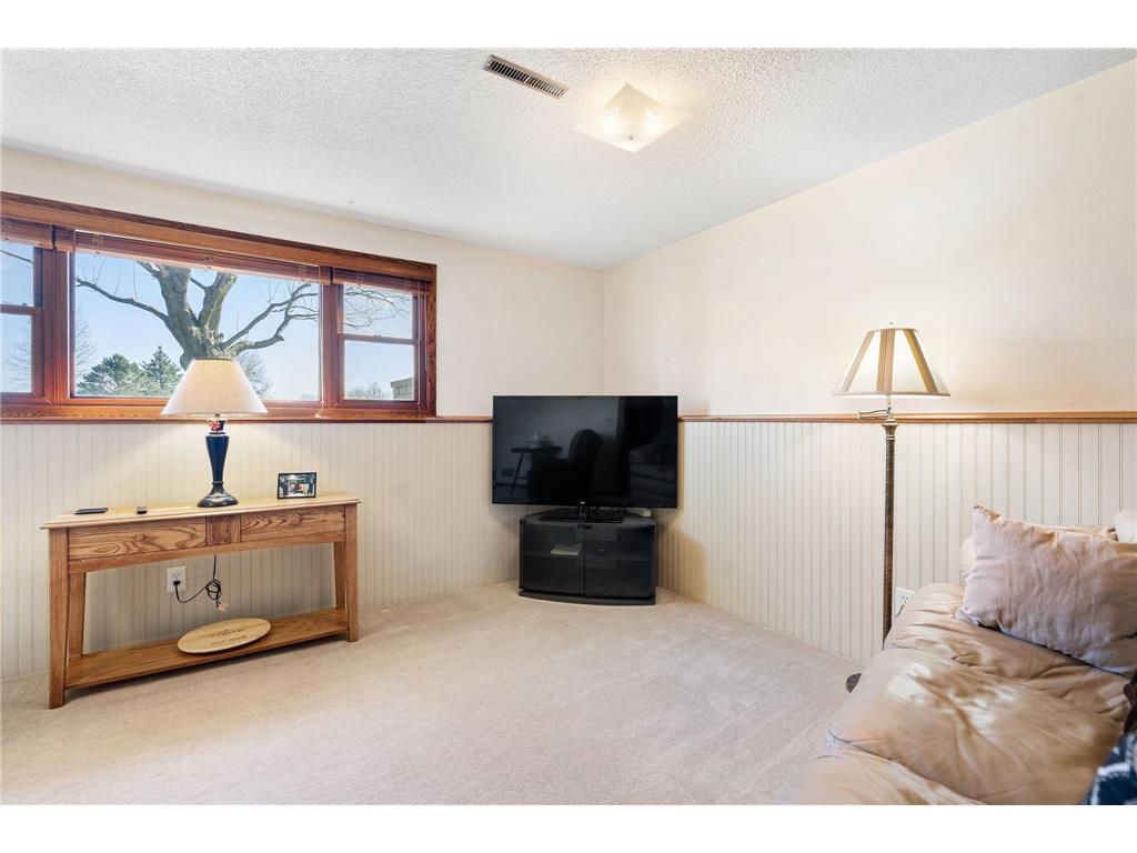 14303 345th Avenue Woodville Twp MN 56093 7057526 image24