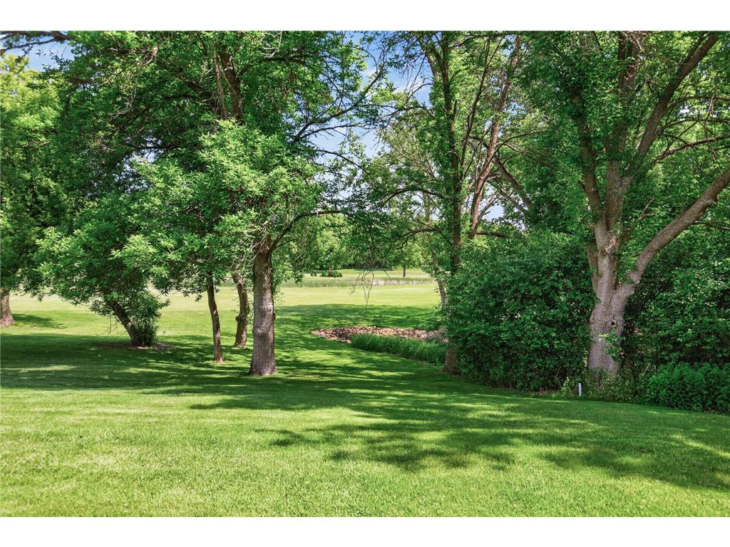 14308 Fairway Drive Eden Prairie MN 55344 7042323 image36