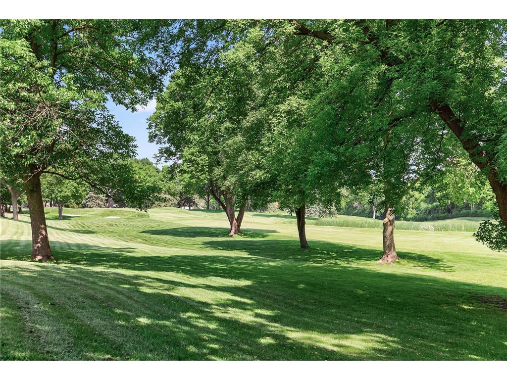 14308 Fairway Drive Eden Prairie MN 55344 7042323 image37
