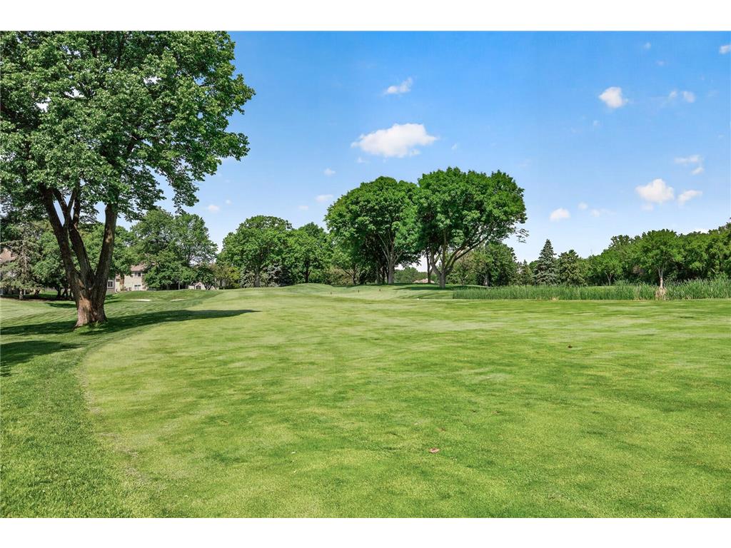 14308 Fairway Drive Eden Prairie MN 55344 7042323 image38