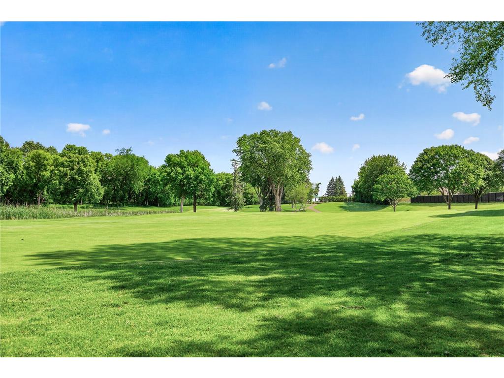 14308 Fairway Drive Eden Prairie MN 55344 7042323 image39