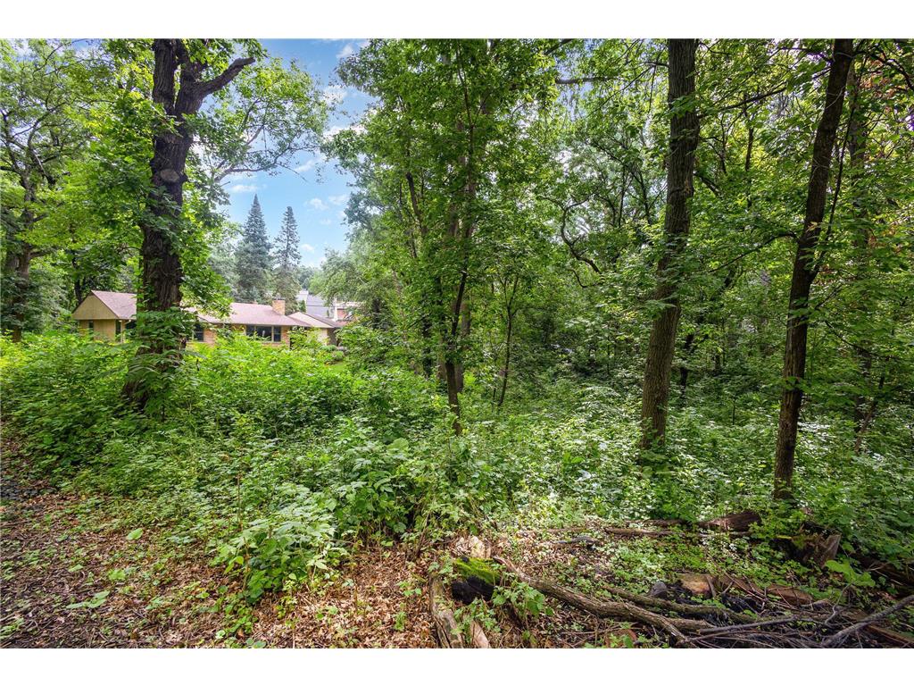 1431 Skiles Lane Arden Hills MN 55112 6760092 image1