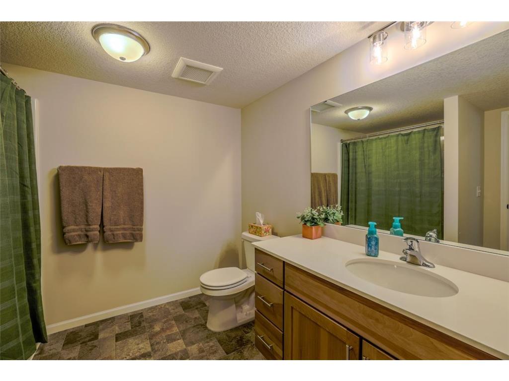 14310 Aspen Avenue Rosemount MN 55068 7077479 image46