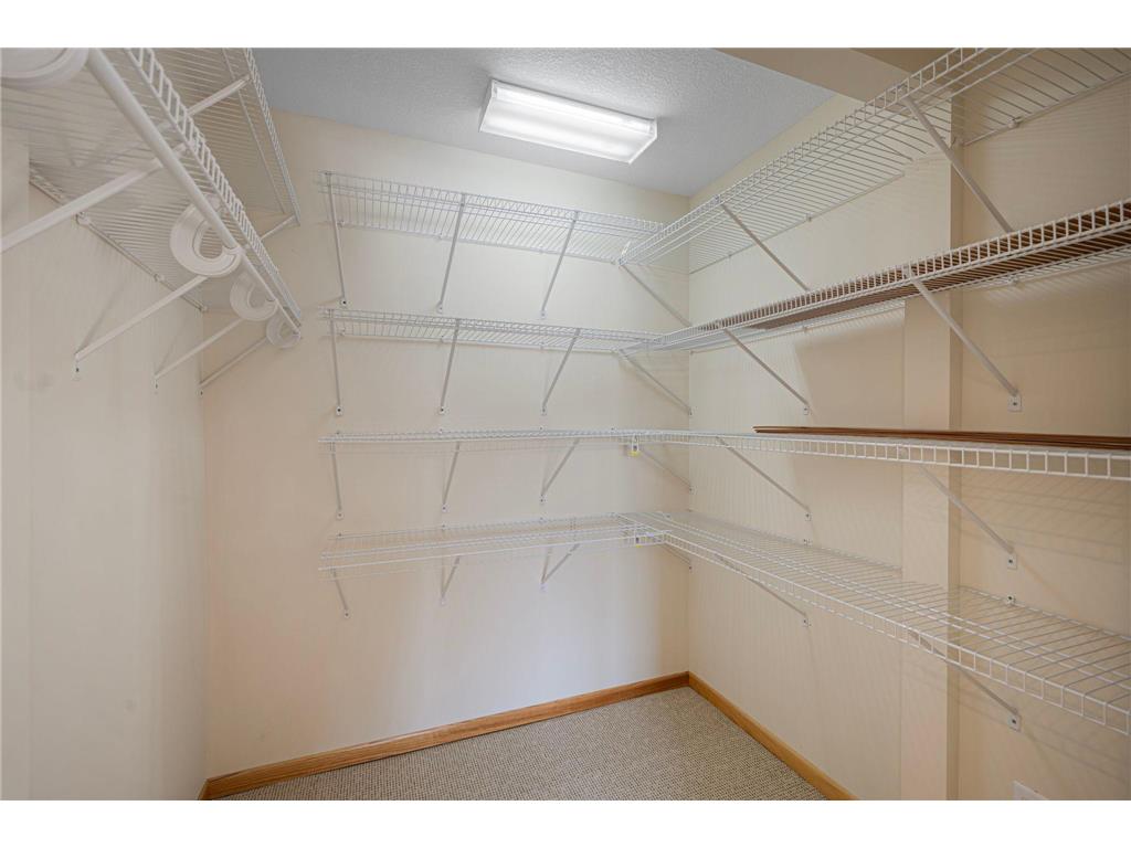 14313 Savanna Oaks Drive Savage MN 55378 7030428 image19