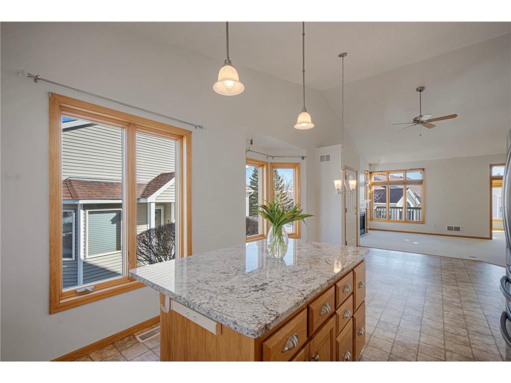 14313 Savanna Oaks Drive Savage MN 55378 7030428 image36