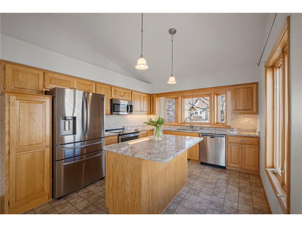 14313 Savanna Oaks Drive Savage MN 55378 7030428 image5