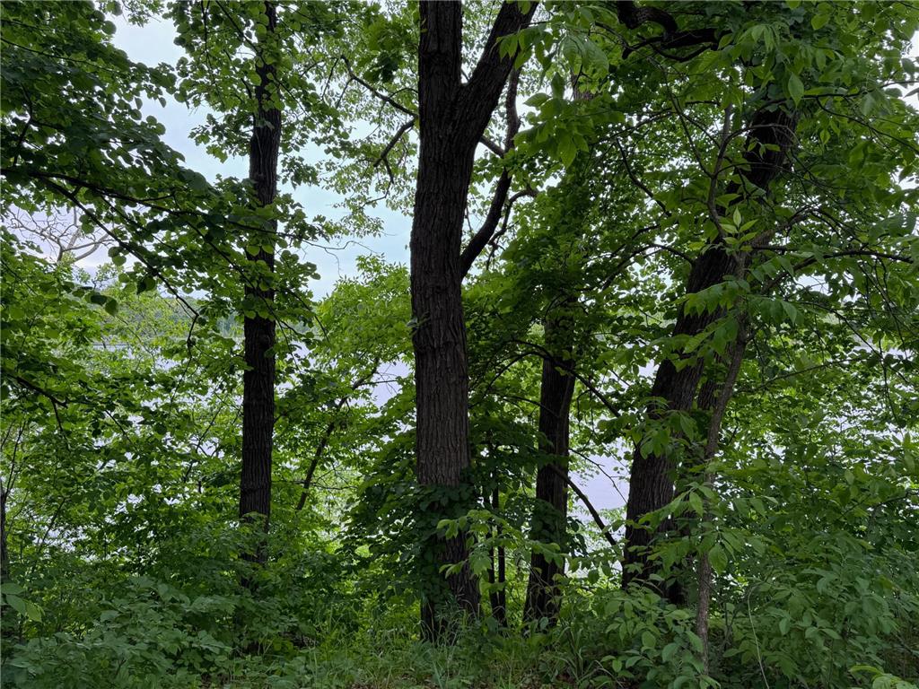 14314 Stocking Lake Road Blueberry Twp MN 56464 - Stocking Lake 7085761 image47