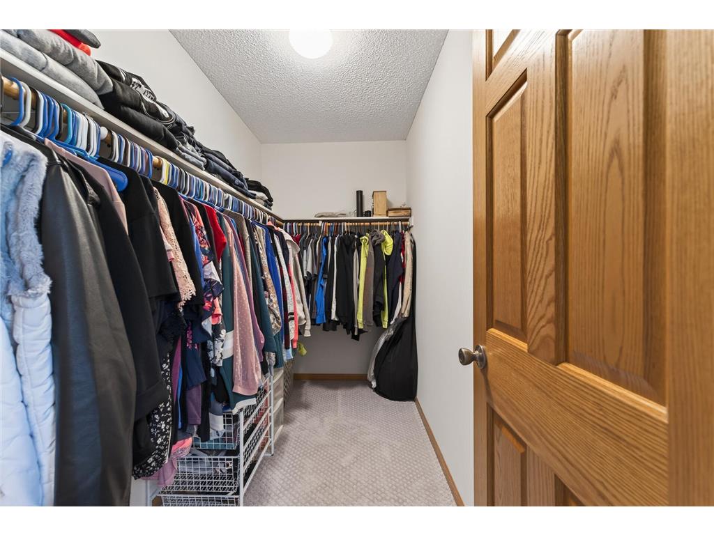14320 314th Avenue NW Baldwin Twp MN 55371 7080770 image13