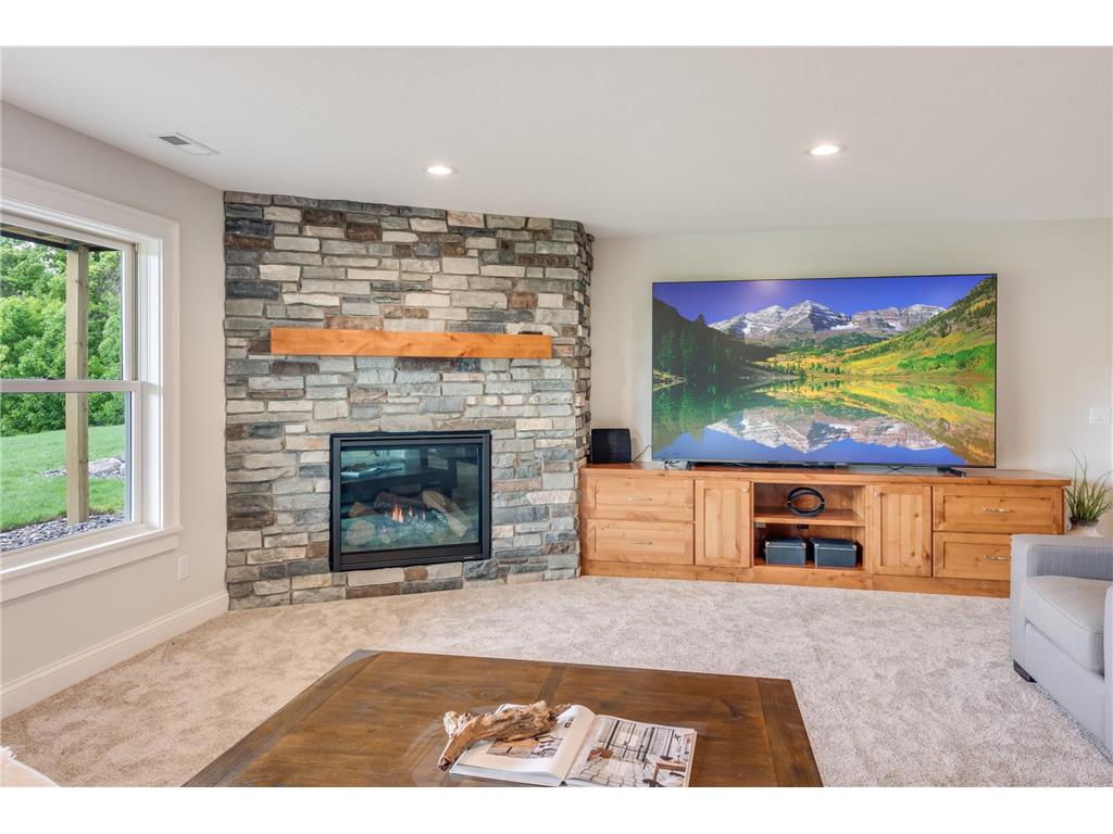 14325 Brockton Lane Rogers MN 55374 6731321 image49