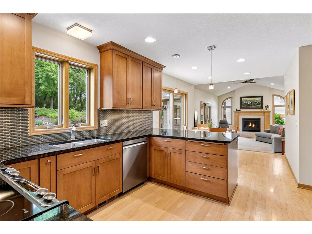 1433 Appaloosa Trail Eagan MN 55122 7080756 image3