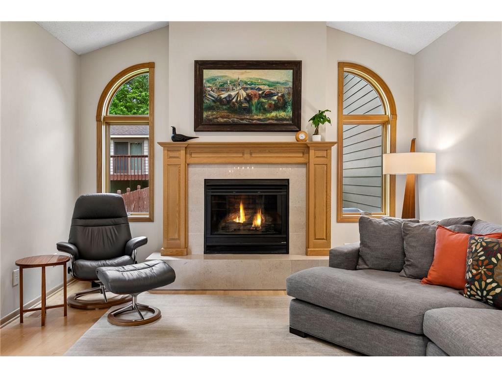 1433 Appaloosa Trail Eagan MN 55122 7080756 image9