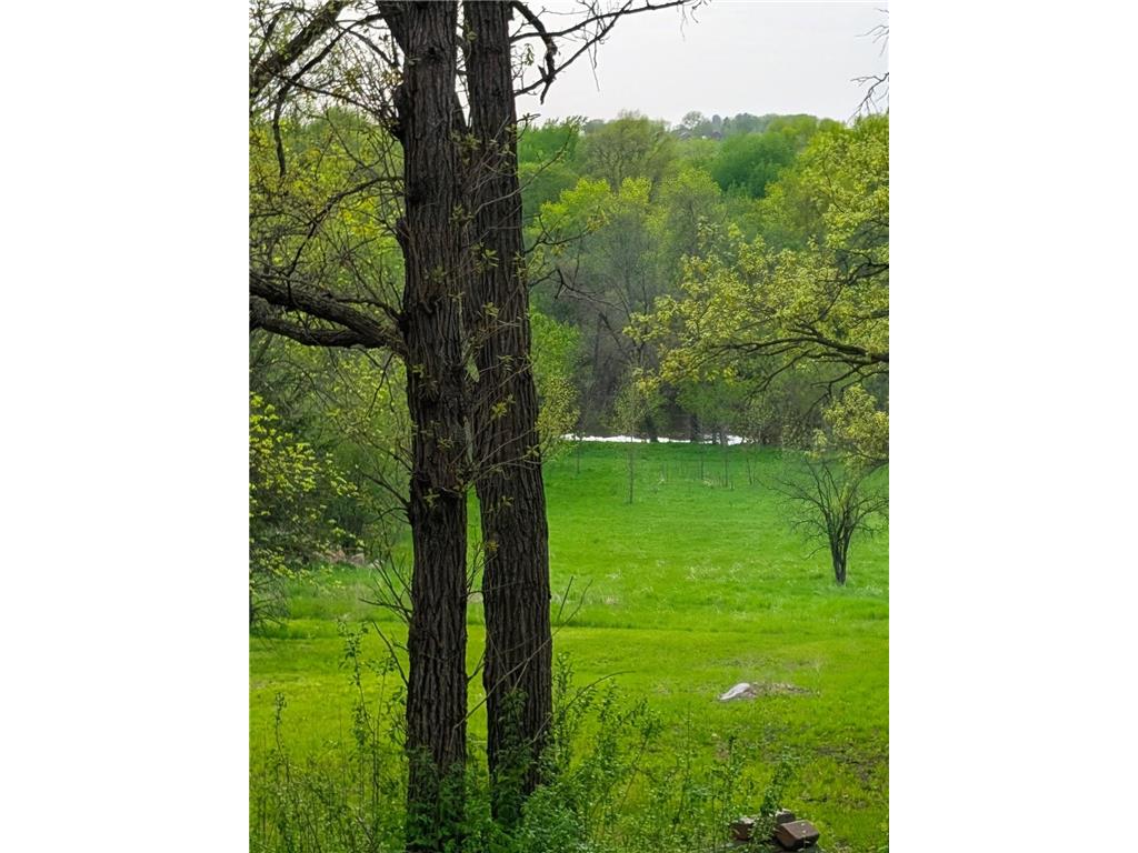 1433 Ridgeview Drive Montevideo MN 56265 - Chippewa River 7074637 image67