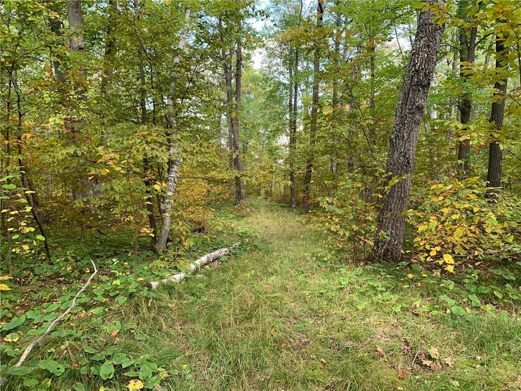 14331 395th Lane Salo Twp MN 55787 6789552 image12