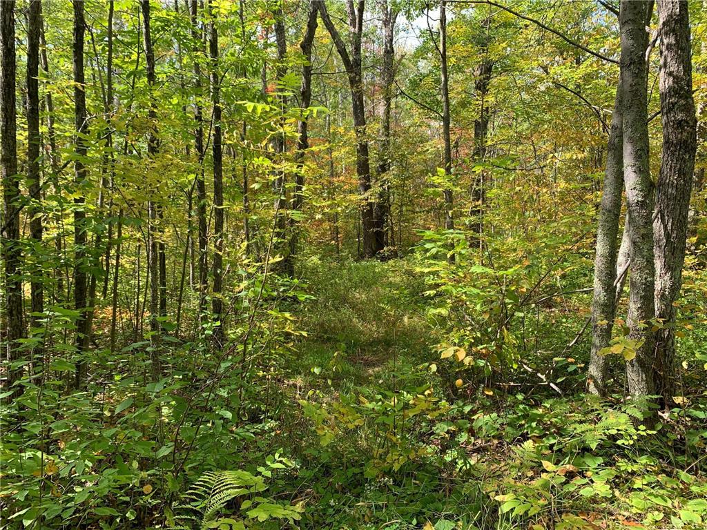 14331 395th Lane Salo Twp MN 55787 6789552 image13