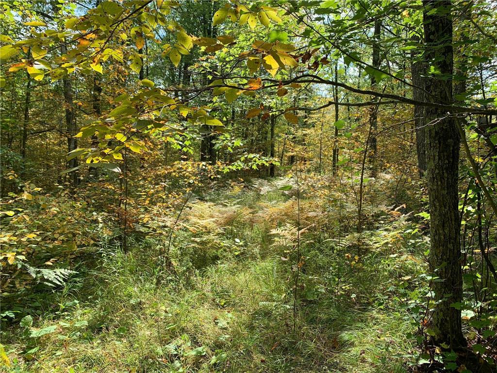 14331 395th Lane Salo Twp MN 55787 6789552 image14