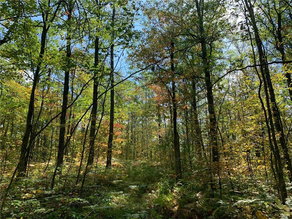 14331 395th Lane Salo Twp MN 55787 6789552 image15