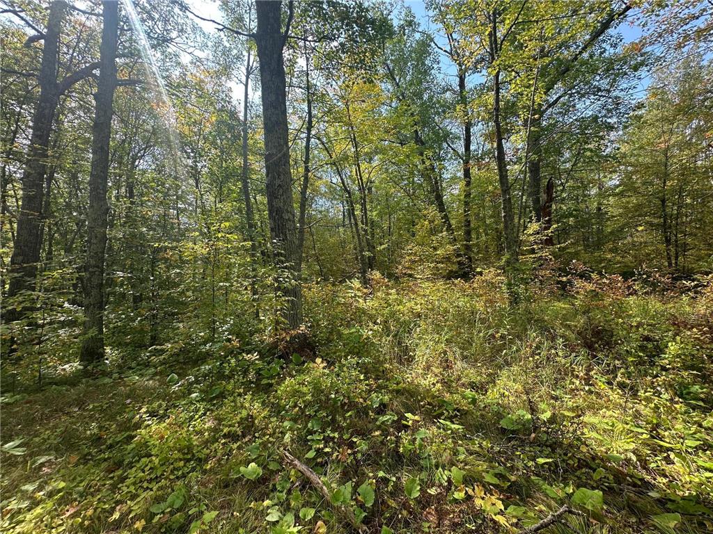 14331 395th Lane Salo Twp MN 55787 6789552 image17