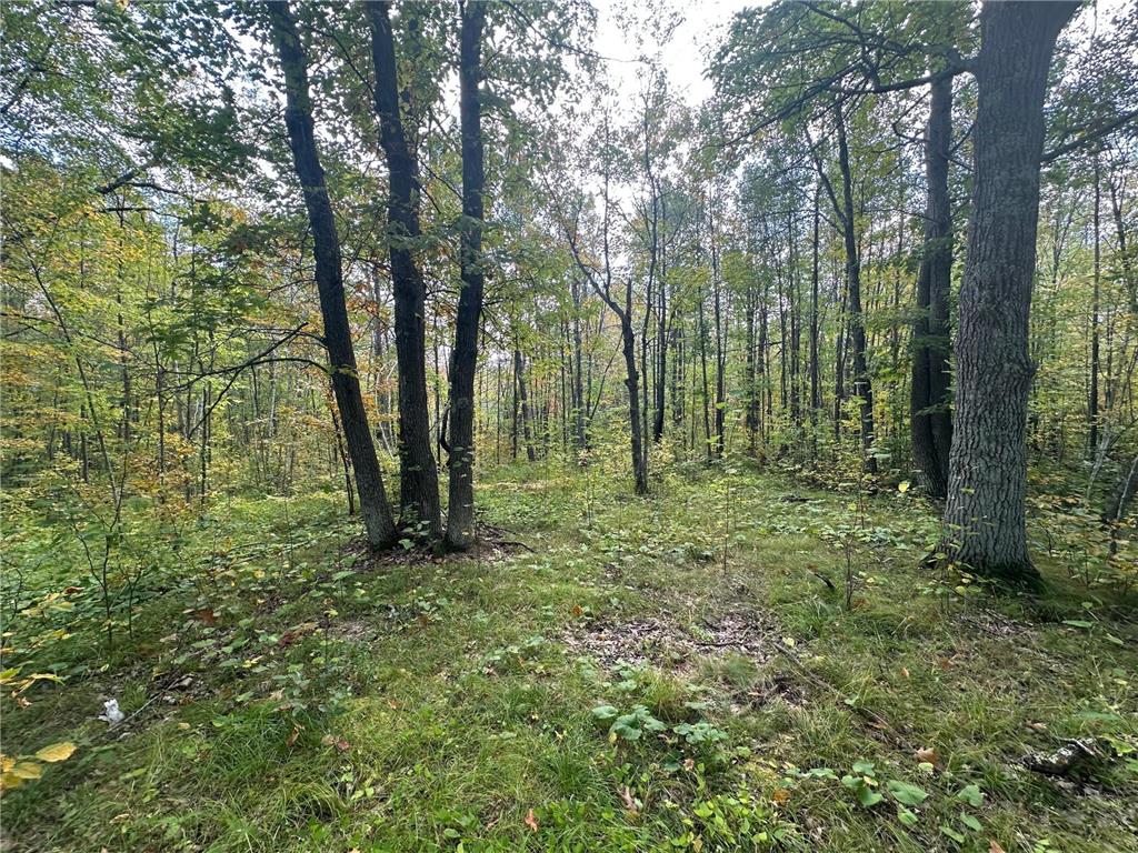 14331 395th Lane Salo Twp MN 55787 6789552 image18