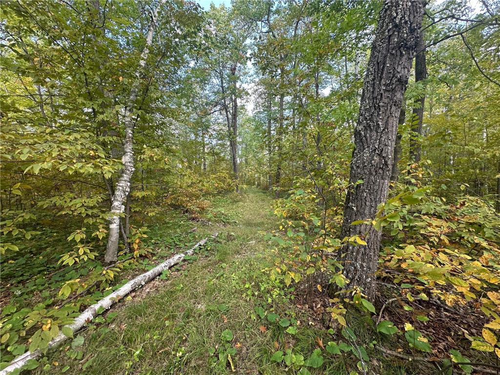 14331 395th Lane Salo Twp MN 55787 6789552 image19