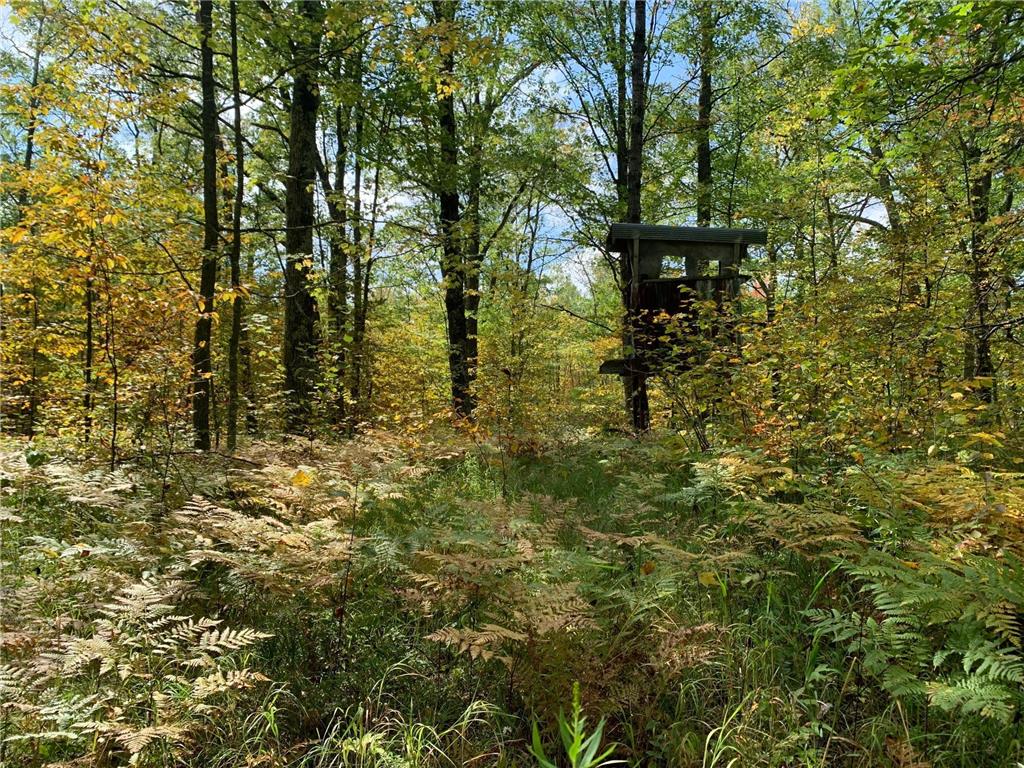 14331 395th Lane Salo Twp MN 55787 6789552 image2