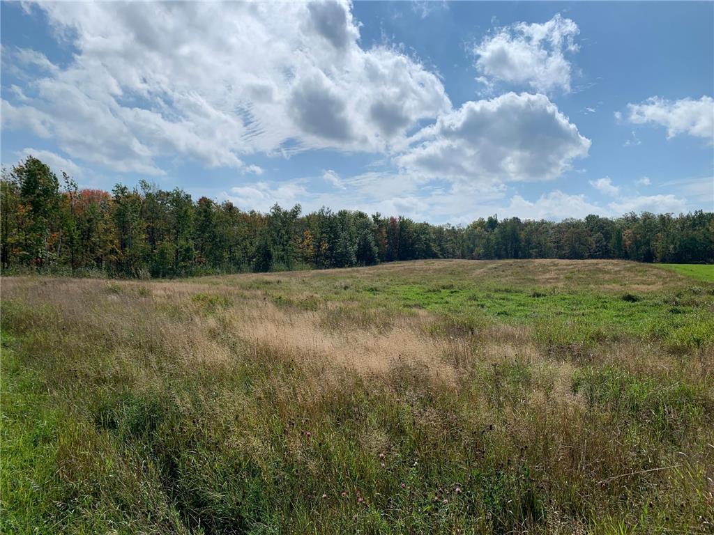 14331 395th Lane Salo Twp MN 55787 6789552 image33