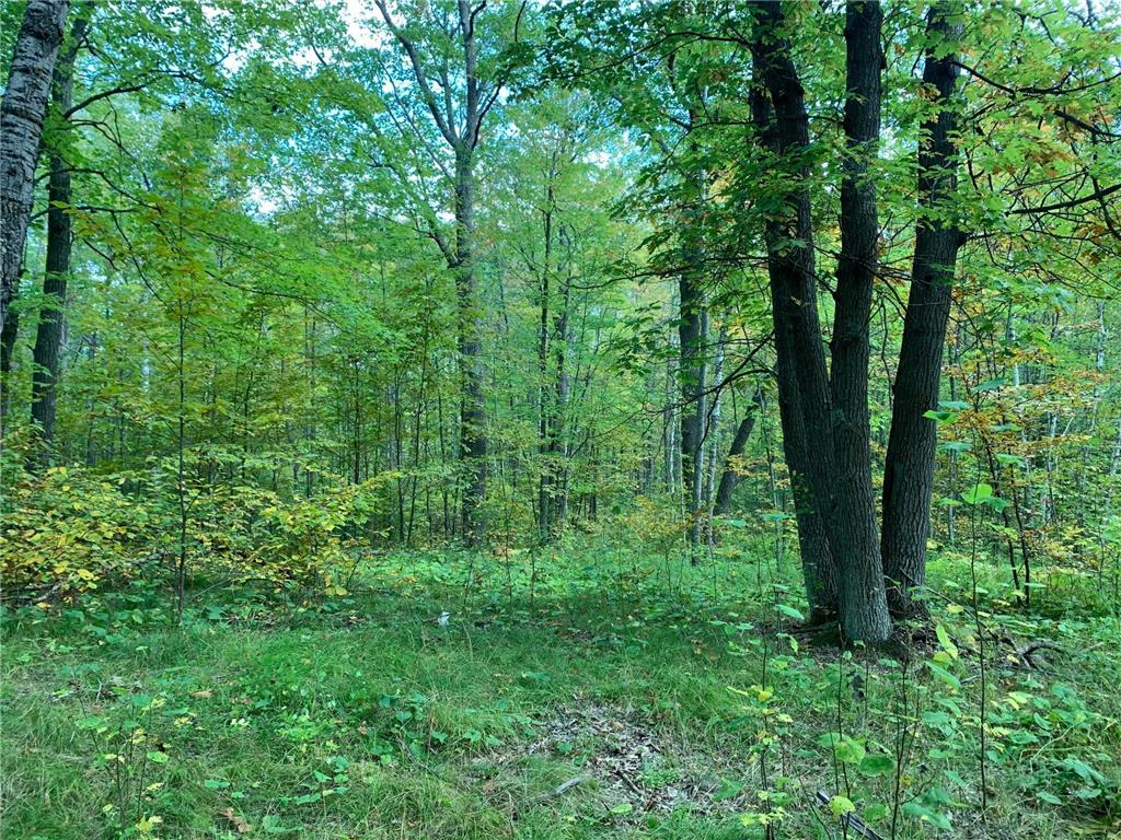 14331 395th Lane Salo Twp MN 55787 6789552 image36