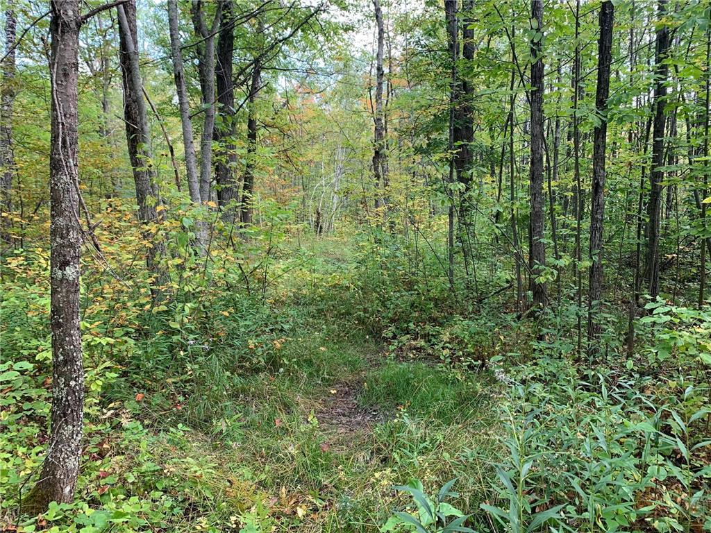 14331 395th Lane Salo Twp MN 55787 6789552 image37