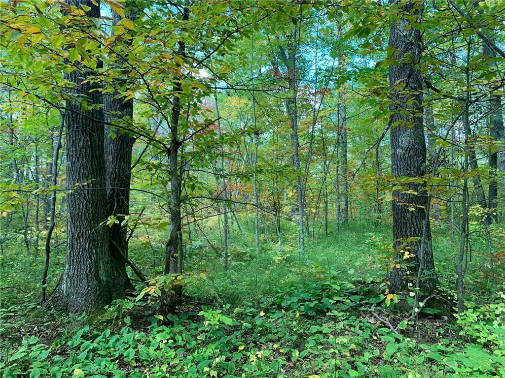 14331 395th Lane Salo Twp MN 55787 6789552 image38