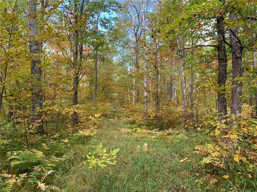 14331 395th Lane Salo Twp MN 55787 6789552 image39