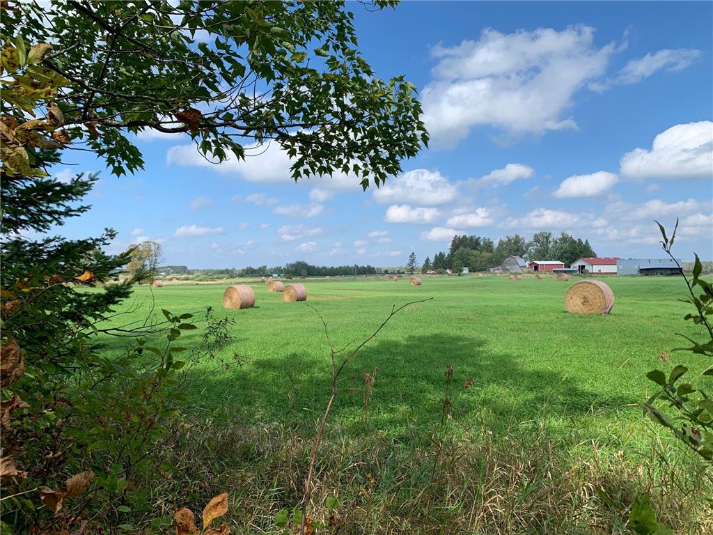 14331 395th Lane Salo Twp MN 55787 6789552 image4