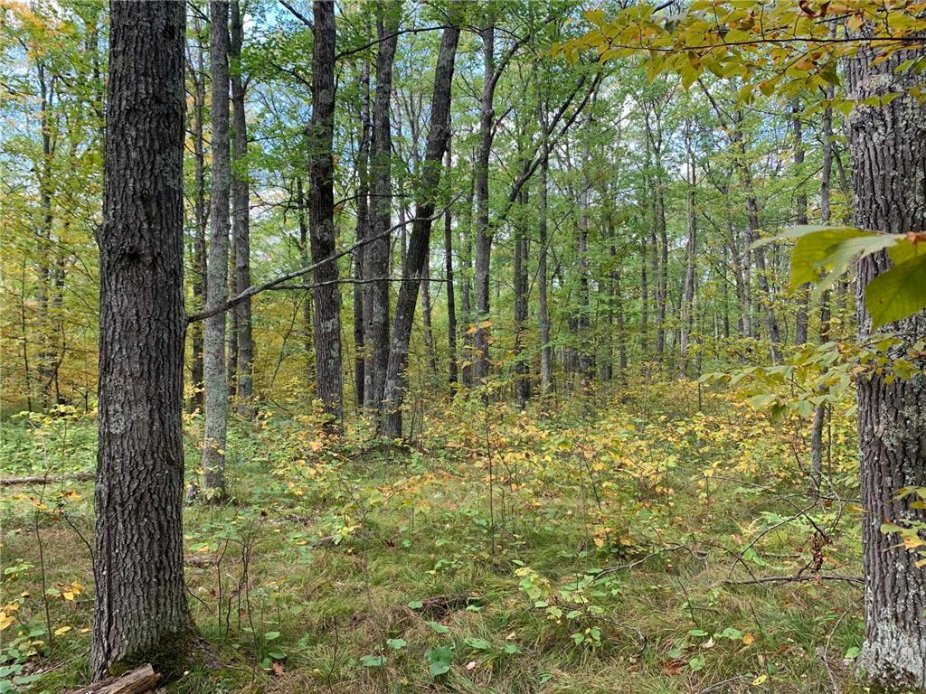 14331 395th Lane Salo Twp MN 55787 6789552 image40