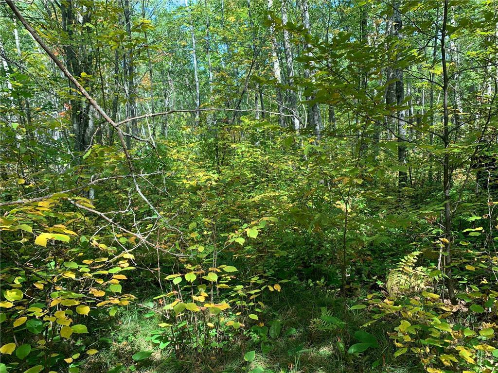 14331 395th Lane Salo Twp MN 55787 6789552 image41