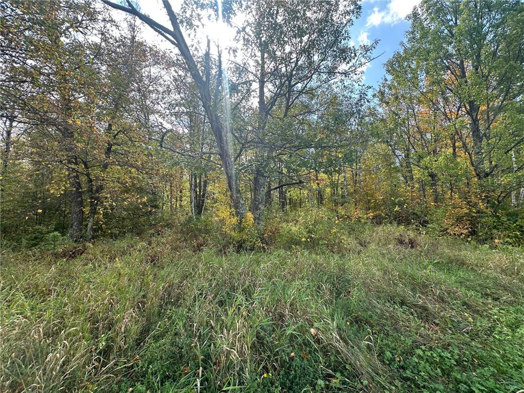 14331 395th Lane Salo Twp MN 55787 6789552 image53