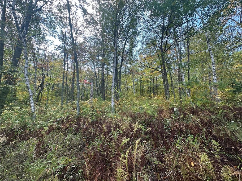 14331 395th Lane Salo Twp MN 55787 6789552 image54