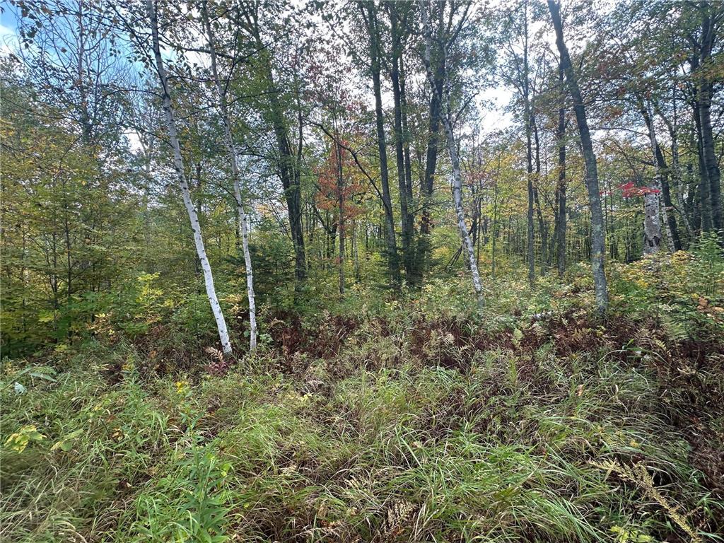 14331 395th Lane Salo Twp MN 55787 6789552 image55