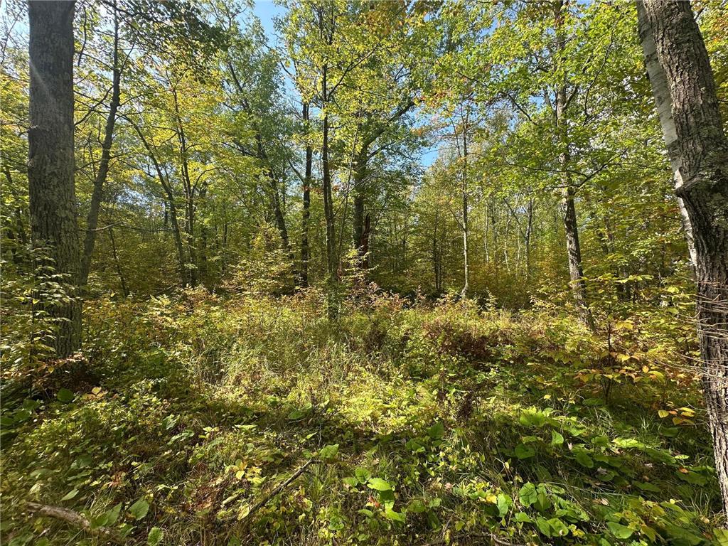 14331 395th Lane Salo Twp MN 55787 6789552 image56