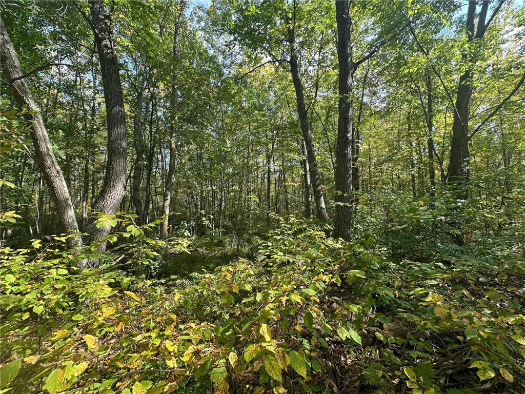 14331 395th Lane Salo Twp MN 55787 6789552 image58