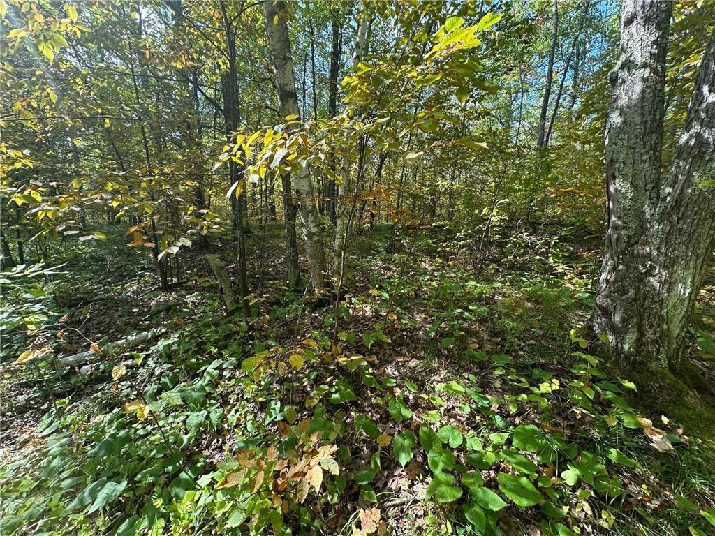 14331 395th Lane Salo Twp MN 55787 6789552 image59