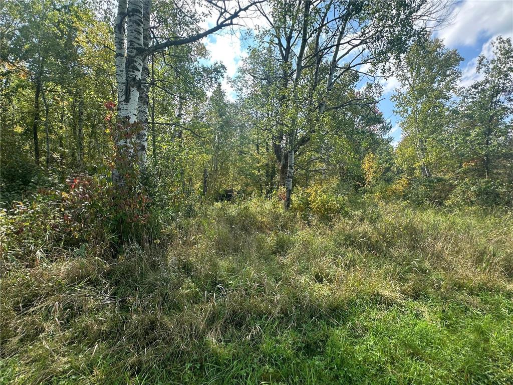 14331 395th Lane Salo Twp MN 55787 6789552 image62