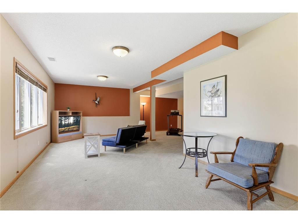 14331 Dawson Court Rosemount MN 55068 7053067 image33