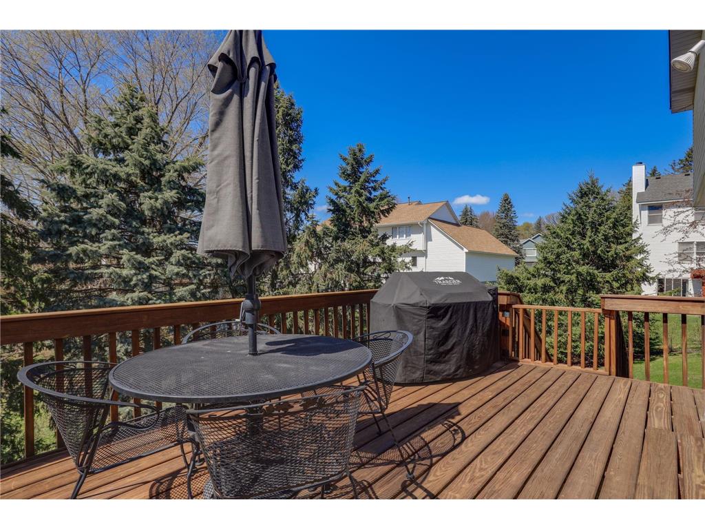 14331 Dawson Court Rosemount MN 55068 7053067 image42